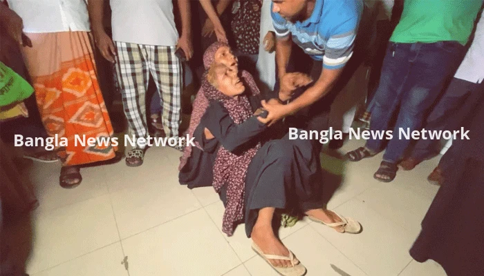 শেরপুরে ট্রাক-অটোরিকশা সংঘর্ষে নারীসহ নিহত ২