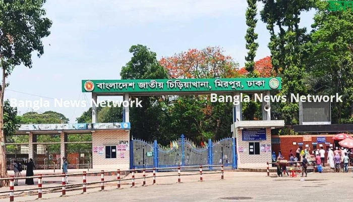 মিরপুর চিড়িয়াখানার খাঁচা থেকে বেরিয়ে গেছে সিংহ