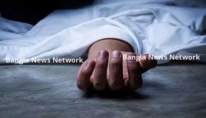 কেরানীগঞ্জে দুর্বৃত্তের ছুরিকাঘাতে নিরাপত্তা প্রহরী নিহত