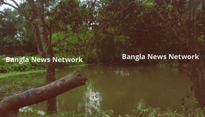 বিদ্যালয়ের গাছের ডাল কাটার প্রতিবাদ করায় শিক্ষককে মারধর