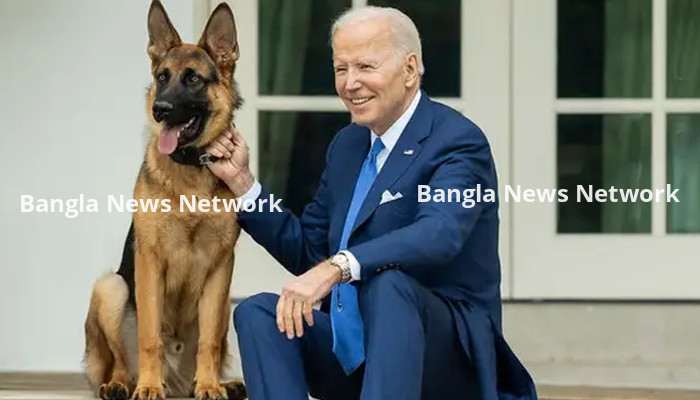 কামড়েই চলেছে বাইডেনের কুকুর