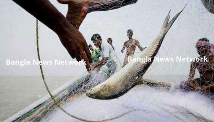 ইলিশ শিকারে ২২ দিনের নিষেধাজ্ঞা মধ্যরাত থেকে শুরু