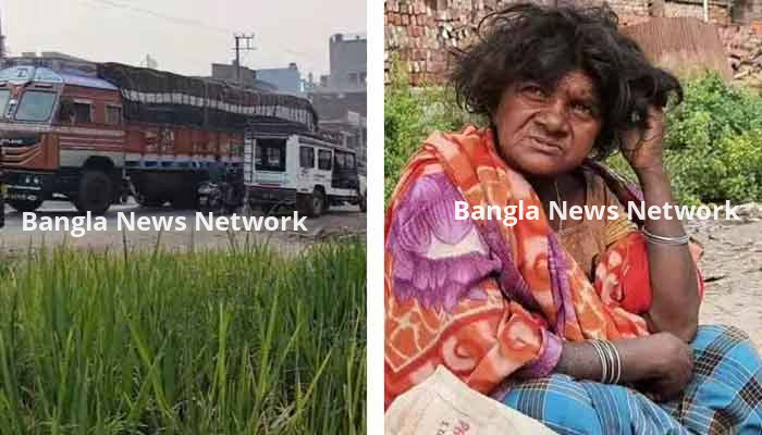 রাস্তার পাশে তিন মণ ধান ফলিয়েছেন এক পাগল, বিস্মিত প্রশাসন