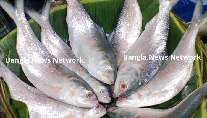 বেনাপোল দিয়ে ৫৩৩ মেট্রিক টন ইলিশ গেলো ভারতে
