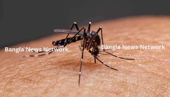 ডেঙ্গুতে আরও ১ জনের মৃত্যু, নতুন আক্রান্ত ৩৬০