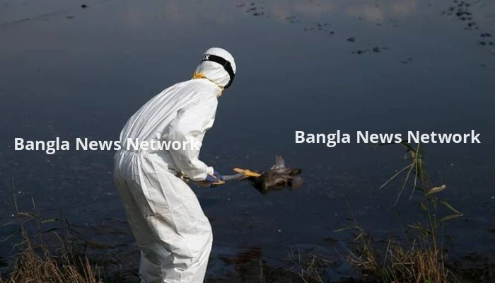 বছরের শুরুতেই ইসরায়েলে বার্ড ফ্লু’র প্রাদুর্ভাব