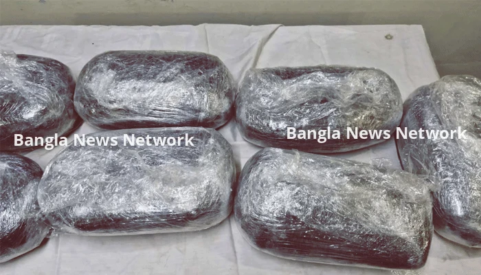 নাড়ুর কথা বলে কুরিয়ার সার্ভিসে ১৪ কেজি গাঁজা বুকিং, ধরল ডিবি