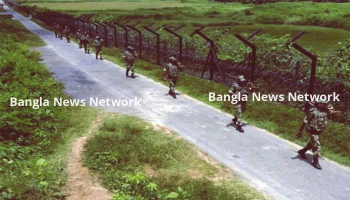 মহেশপুর সীমান্তে তিন বাংলাদেশিকে আটক করেছে বিএসএফ