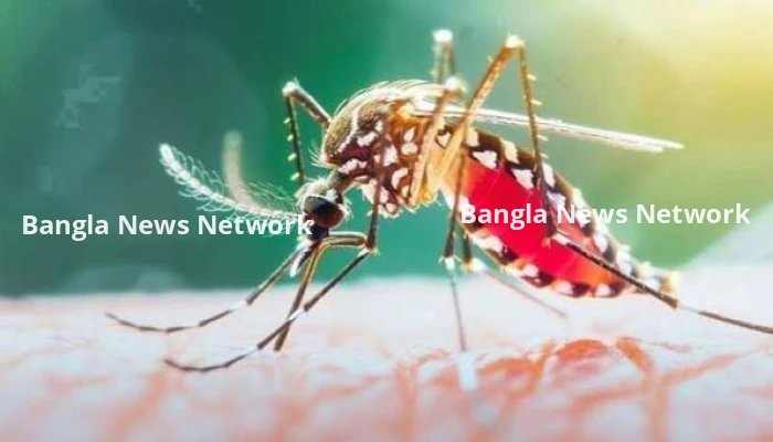 ডেঙ্গুতে আরও ৪ জনের প্রাণহানি, নতুন রোগী ভর্তি ১১৮১ জন