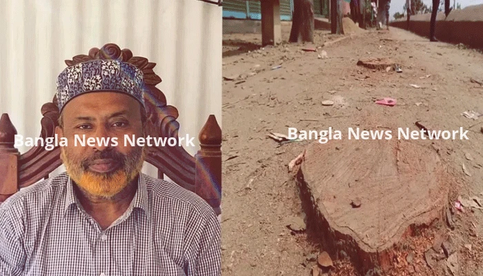 বিএনপি নেতার গাড়ি প্রবেশে অসুবিধা, কাটা হলো বেড়িবাঁধের ২০ গাছ