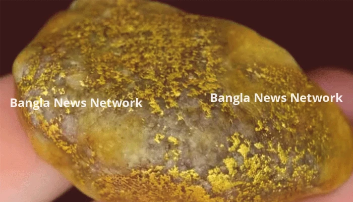 মাটিতে ক্ষীণ হলুদ আভা দেখে খনন, মিলল প্রায় আড়াই কোটি টাকার স্বর্ণ