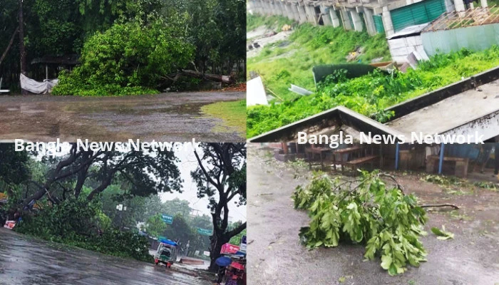 ইবিতে উড়ে গেছে ঘরের ছাউনি, চলছে ক্লাস-পরীক্ষা