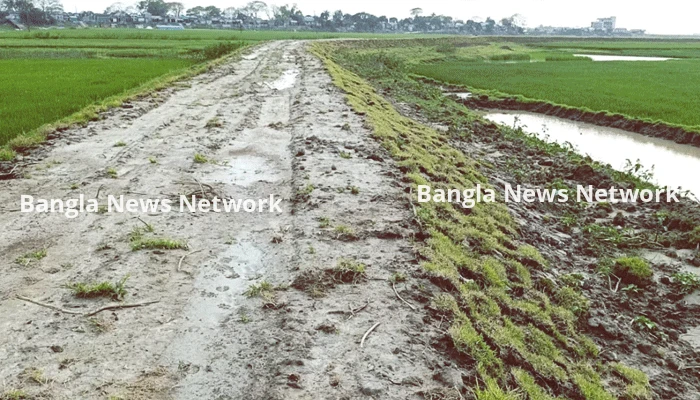 হাওরে বাঁধের কাজ শেষ হলেও মেলেনি টাকা, বিপাকে পিআইসি সদস্যরা
