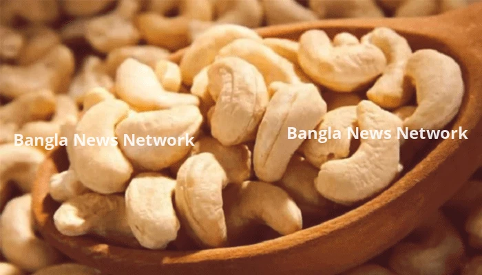 কাজুবাদামের ন্যায্য দাম পাচ্ছেন না বান্দরবানের কৃষক, সক্রিয় আড়তদার-ব্যবসায়ী সিন্ডিকেট