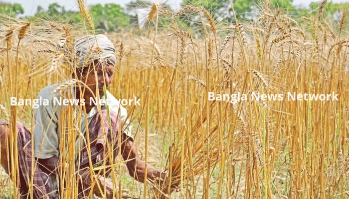 জলবায়ু পরিবর্তনের চাপে কৃষক, অভিযোজনের অর্থায়নে বড় ঘাটতি