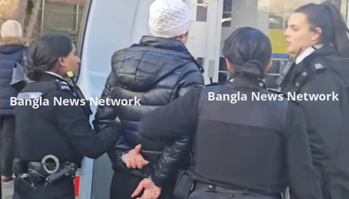 ব্রিটেনে কবুতরকে খাবার দেওয়ায় জরিমানা, নারীর হাতে হাতকড়া