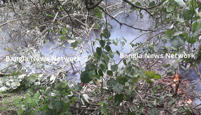 সুন্দরবনের আধা কিলোমিটারজুড়ে আগুন, কাজ করছে ফায়ার সার্ভিসের ৬ ইউনিট