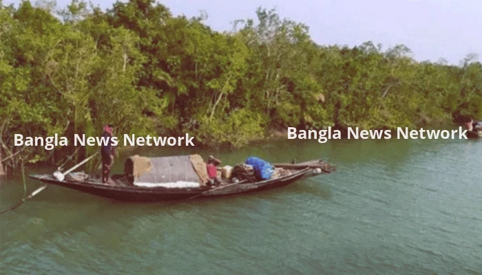 প্রজনন মৌসুমেও থেমে নেই সুন্দরবনের মাছ শিকার, হুমকিতে জীববৈচিত্র
