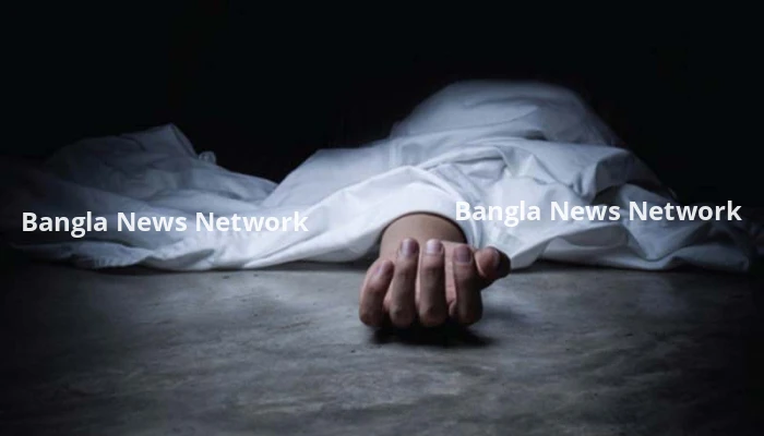 গৌরীপুরে ভাইয়ের ছুরিকাঘাতে ভাই খুন