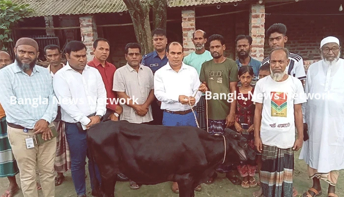 প্রতিমন্ত্রীর গাড়ীর ধাক্কায় নিহত ফিরোজার পরিবারকে গাভী প্রদান