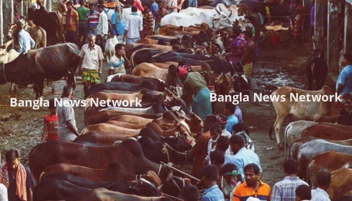 কোন পশু কত ভাগে কোরবানি দেওয়া যাবে?