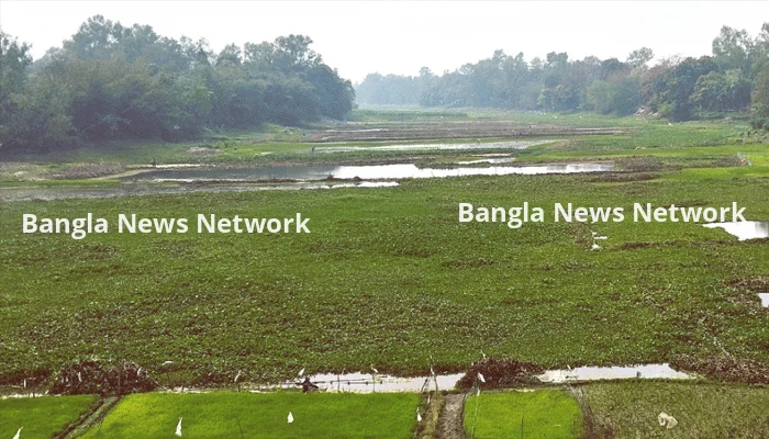অস্তিত্ব সংকটে ইছামতি