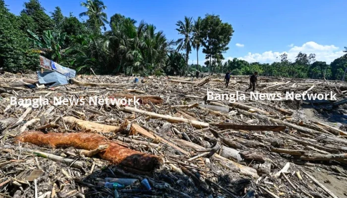 ইন্দোনেশিয়ায় ভয়াবহ বন্যা ও ভূমিধসে প্রাণহানি বেড়ে ৪৪২