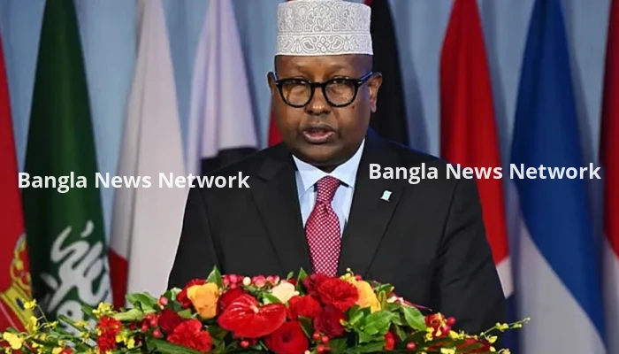 সোমালিল্যান্ডে ফিলিস্তিনিদের পুনর্বাসনের পরিকল্পনা ইসরায়েলের— দাবি সোমালিয়ার