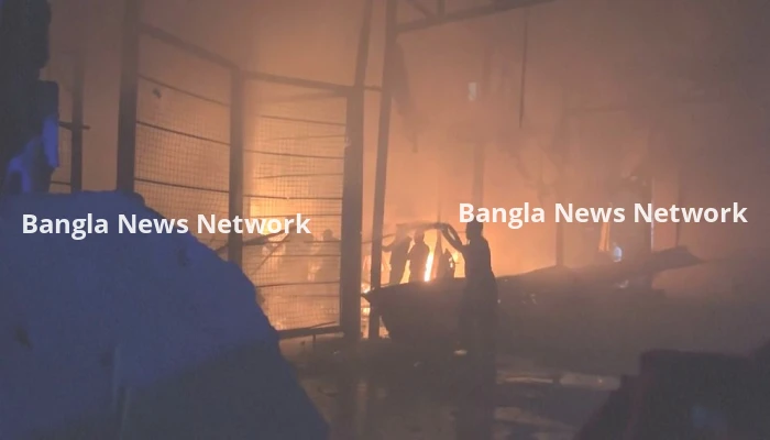 দক্ষিণ লেবাননে ফিলিস্তিনি শরণার্থী ক্যাম্পে ইসরায়েলের ড্রোন হামলা, নিহত ১৩