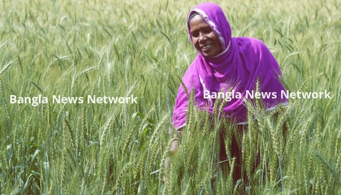 নারী ক্ষমতায়নে দিকপাল এখন কৃষাণী সুলেখা