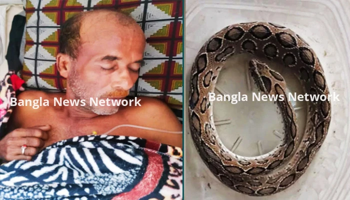 যশোরে কামড় দেয়া রাসেলস ভাইপার নিয়ে হাসপাতালে কুদ্দুস