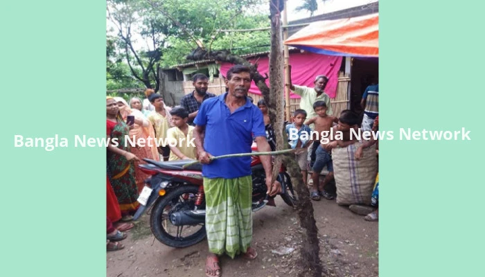 কুষ্টিয়ার কুমারখালীতে রাসেলস ভাইপারকে নৃশংসভাবে হত্যা