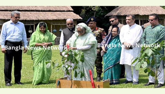 সবাইকে ৩টি করে গাছ লাগানোর আহ্বান প্রধানমন্ত্রীর