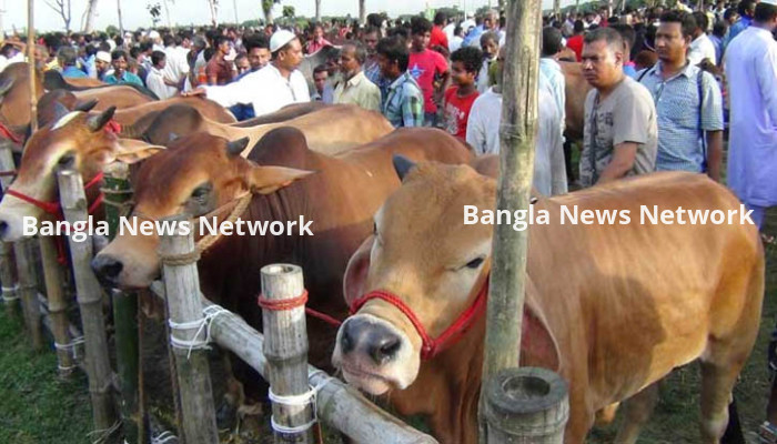 চাহিদার চেয়ে ২১ লাখের বেশি পশু প্রস্তুত