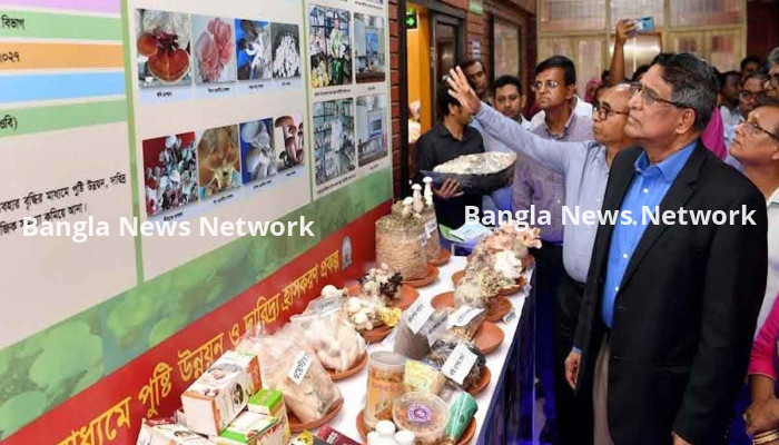 মাশরুম চাষে দেশে দরিদ্র থাকবে না: কৃষিমন্ত্রী