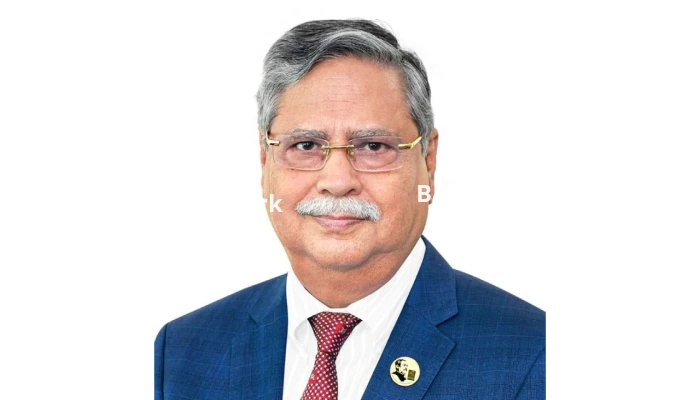 বাংলাদেশের সব কূটনৈতিক মিশন থেকে রাষ্ট্রপতির ছবি সরানোর নির্দেশ