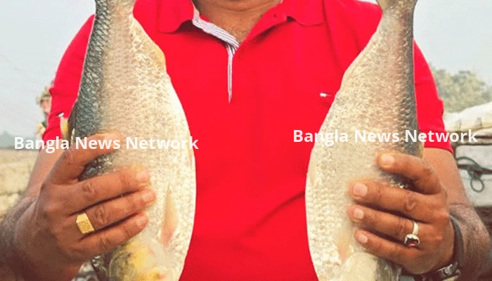 পদ্মার ২ ইলিশ ১০ হাজারে বিক্রি