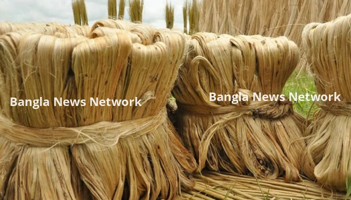 কাঁচা পাট রফতানি করতে লাগবে অনুমতি