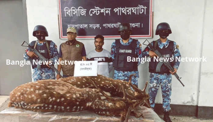 পাথরঘাটায় জবাইকৃত হরিণসহ শিকারি আটক