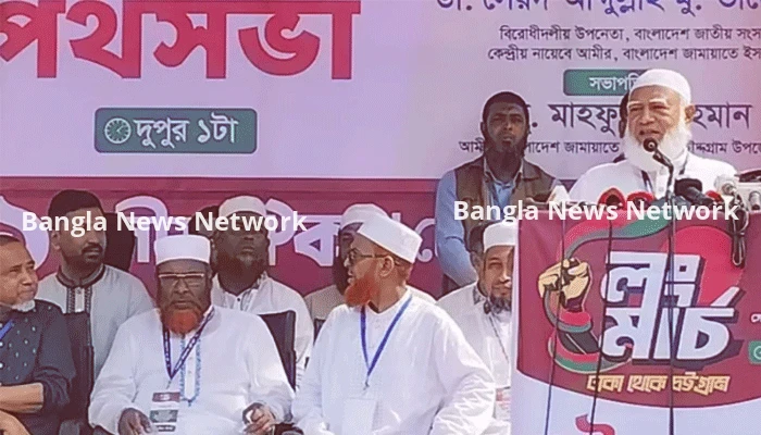 বিদ্যুৎ নিয়ে প্ল্যান চেয়েছিলেন প্রধানমন্ত্রী, দিয়েছি, এখন কিছু বলেন না: জামায়াত আমির