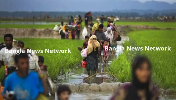 রাখাইনে দুর্ভিক্ষের আভাস; নতুন করে রোহিঙ্গা প্রবেশের শঙ্কা