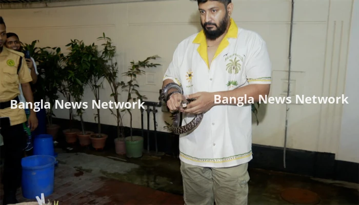 রাজধানীর নিকেতনের বাসা-বাড়ি থেকে বিষধর গোখরা উদ্ধার