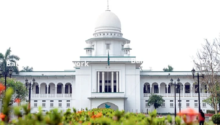 রাষ্ট্রের গুরুত্বপূর্ণ ব্যক্তিদের পদমর্যাদাক্রম নিয়ে রিভিউয়ের রায় কাল