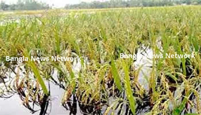 শেরপুরে আগাম বন্যার শঙ্কা