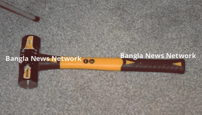 এআইয়ের পরামর্শে মাকে নৃশংসভাবে হাতুড়ি দিয়ে হত্যা করে ছেলে