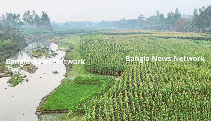 চ‌রের বু‌কে সবুজের সমারোহ, জীববৈচিত্র্য রক্ষার দা‌বি