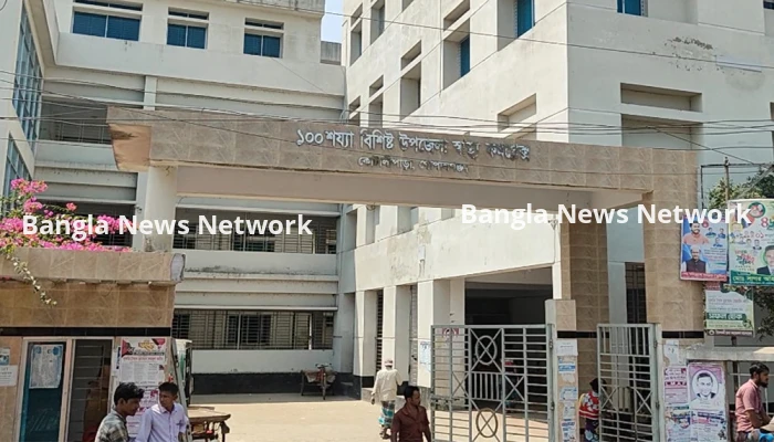 শখ করে ইজিবাইক চালাতে গিয়ে প্রাণ গেল প্রবাসীর