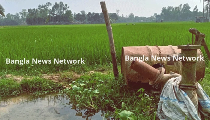 ডিজেল সংকটে বোরো উৎপাদনে বড় শঙ্কা সিরাজগঞ্জে