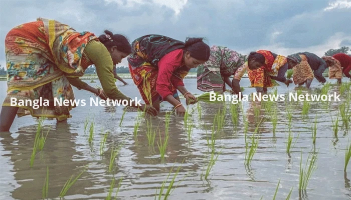 পুরুষের কাঁধে কাঁধ মিলিয়ে কাজ করছেন আদিবাসী নারীরা, তবু মজুরিতে বৈষম্য