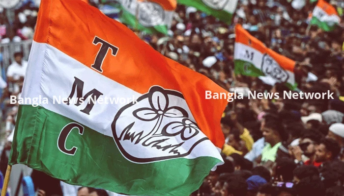 তৃণমূলের ‘ঘাসফুল’ প্রতীকের ব্যবহার নিষিদ্ধ, বিপাকে পতাকা ব্যবসায়ীরা